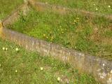 image of grave number 130903